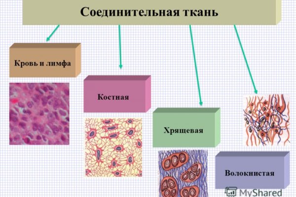 Кракен даркнет вход