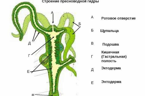 Кракен официальный