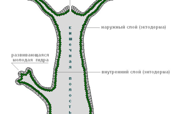 Kraken 19 at сайт